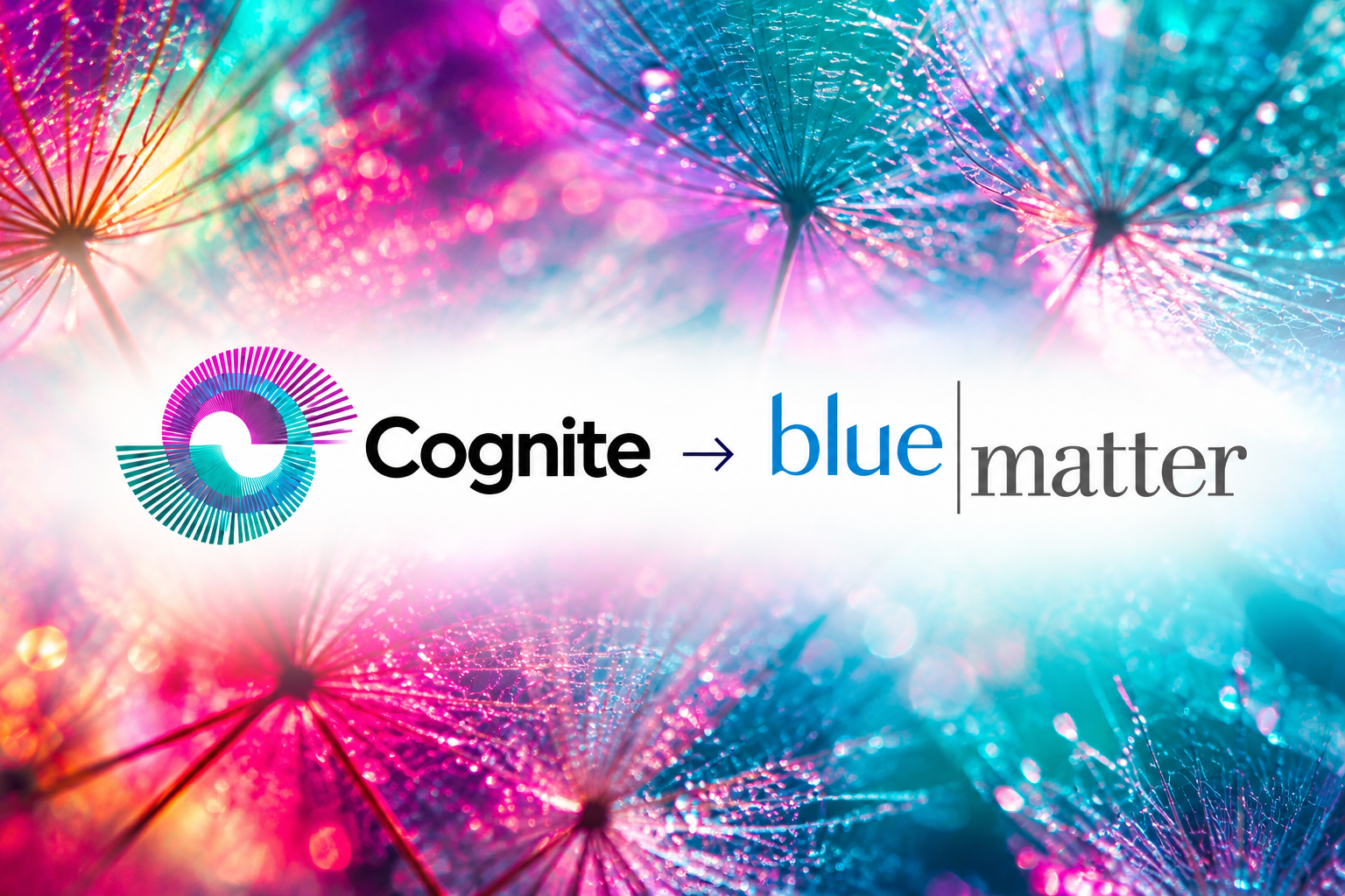 Vespa Capital has realised its investment in Cognite