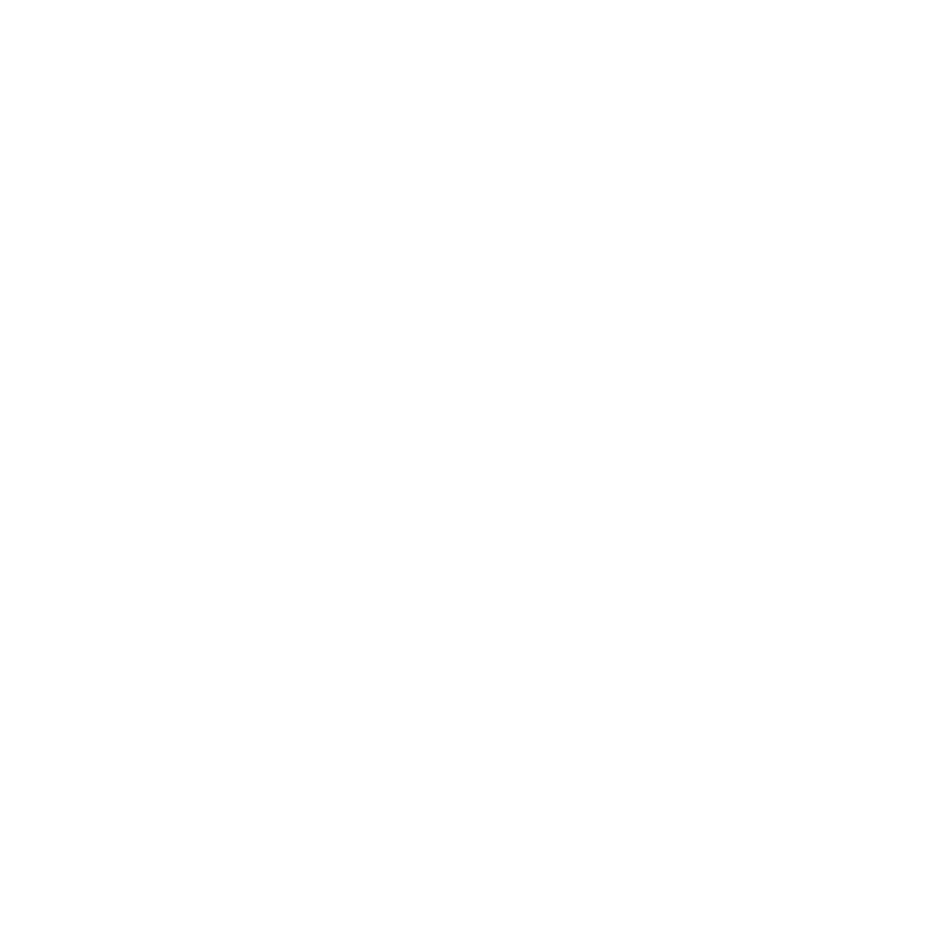 Rocksteady Music School icon