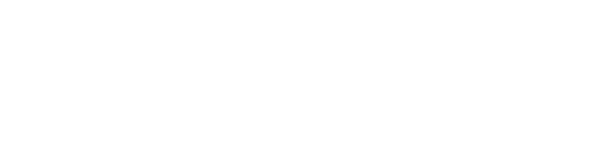 Origo icon