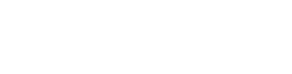 Eserv icon